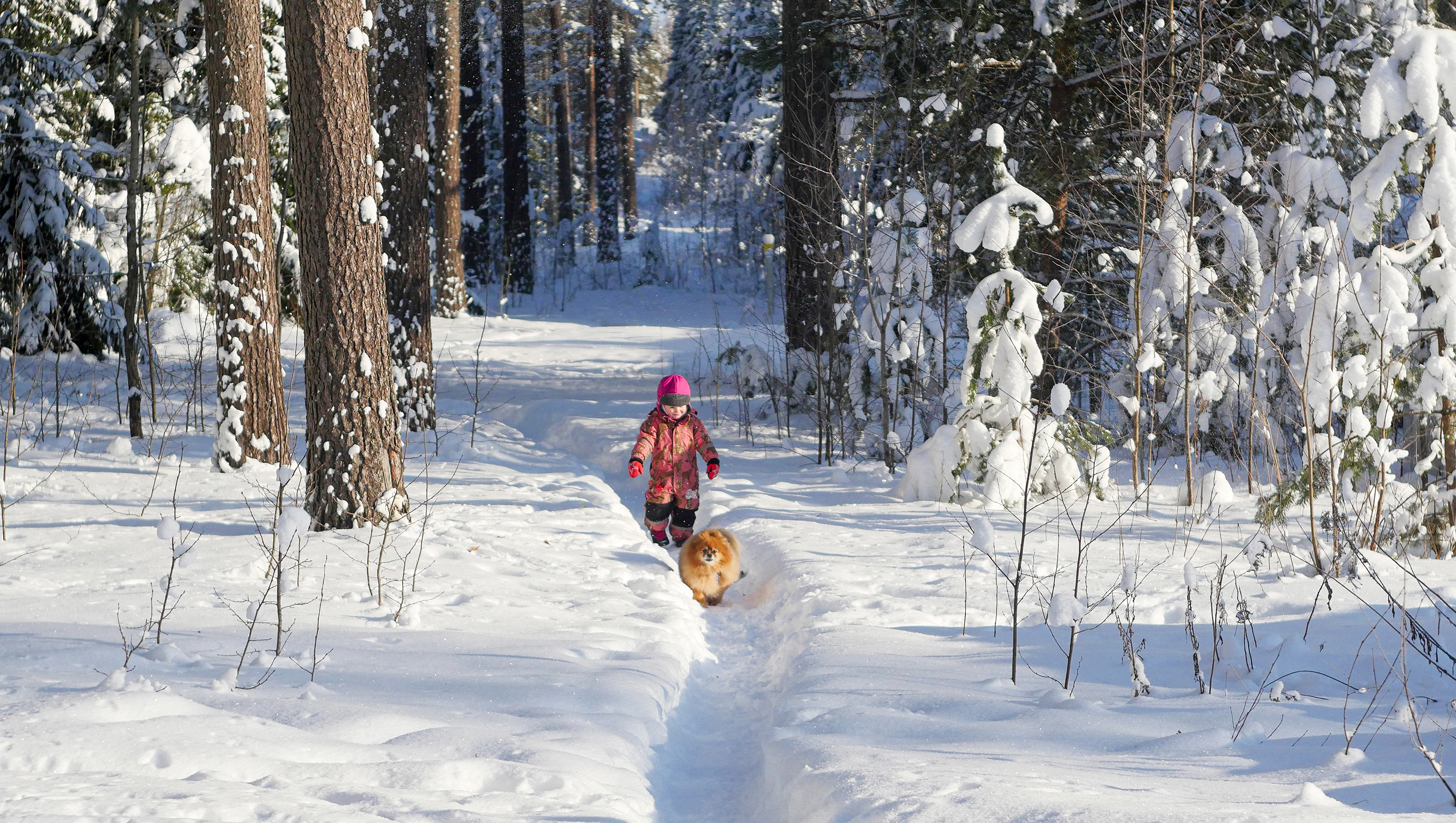 Lapsi ja koira talvisessa metsässä - Joenrinne Films