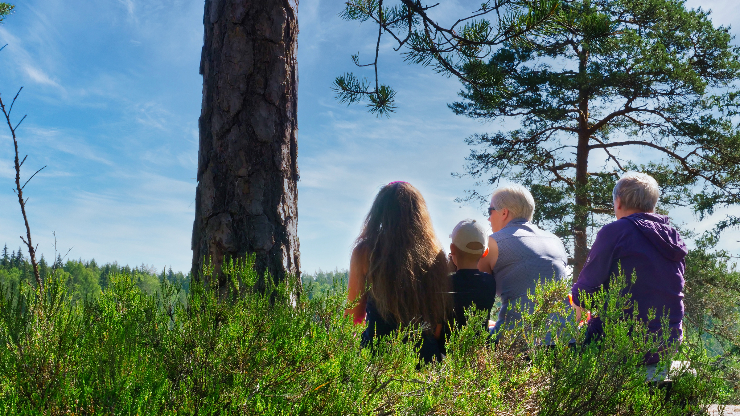 Ihmisiä metsässä - Joenrinne Films